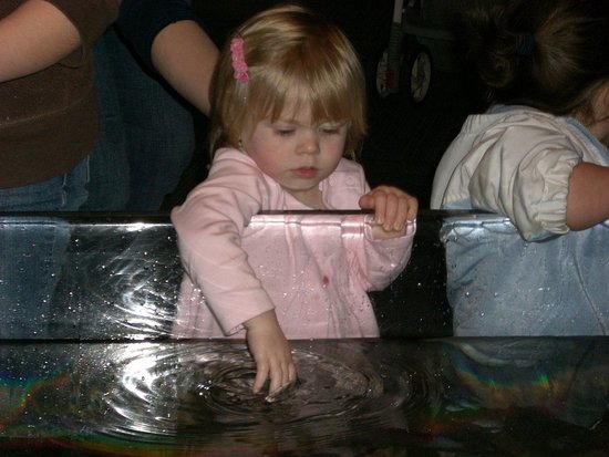 Playing at the aquarium. Playing at the aquarium.